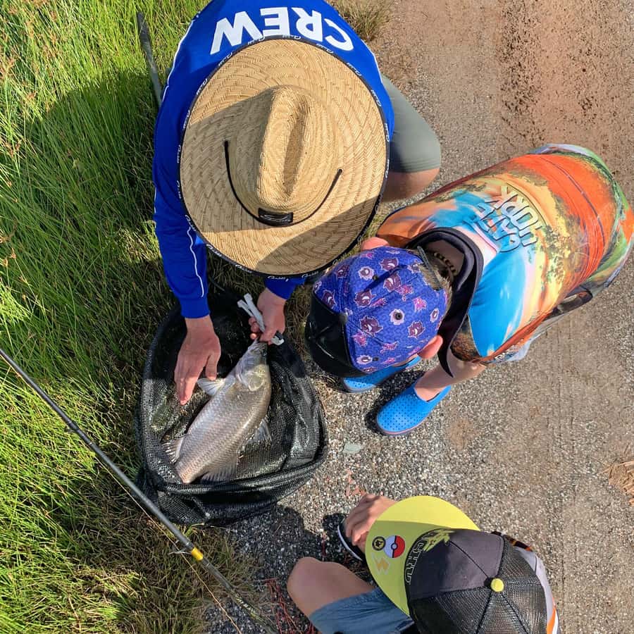 From Port Douglas: Barramundi Pond Fishing with Lunch - 6 Things That Make This Barra Pond Fishing Stand Out