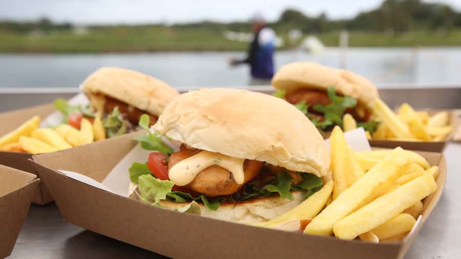 From Port Douglas: Barramundi Pond Fishing with Lunch - Hook-A-Barra Fishing on Land: How the 1 Hour Works