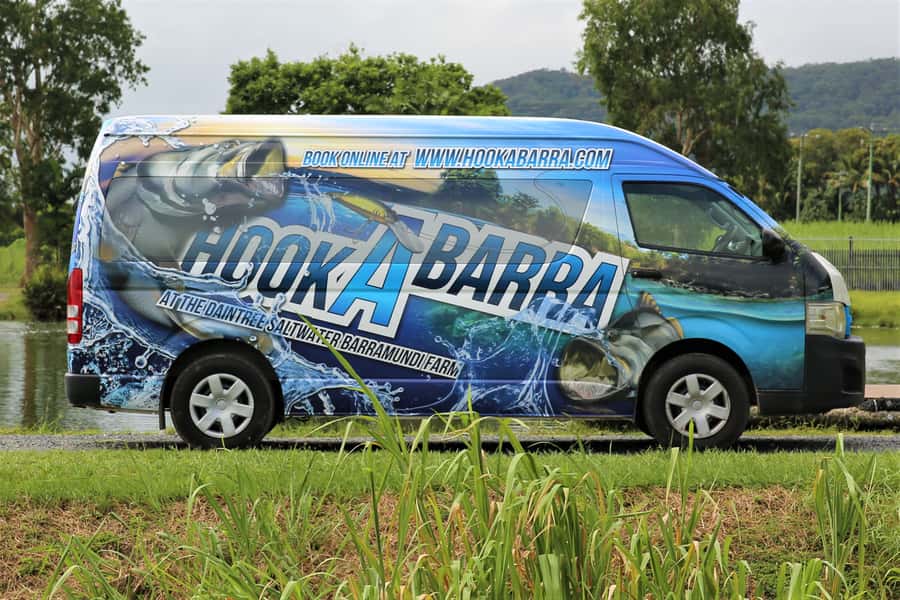 From Port Douglas: Barramundi Pond Fishing with Lunch - What You’ll Likely Catch, and What That Means for Value