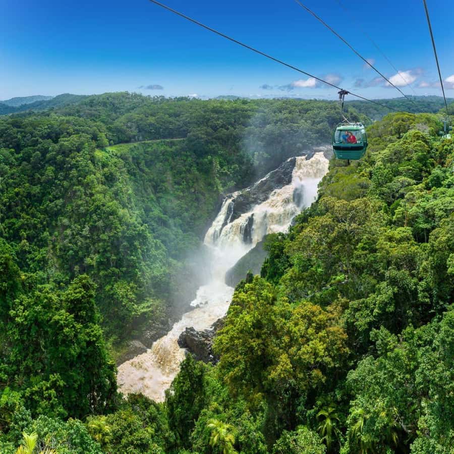 From Port Douglas: Hartley's Crocodile Park, Skyrail & Train - The Kuranda Scenic Train Back Through Rainforest Country