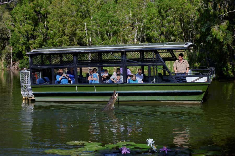 From Port Douglas: Hartley's Crocodile Park, Skyrail & Train - Palm Cove at Sunset Time: A Drink, a Walk, and a Breath