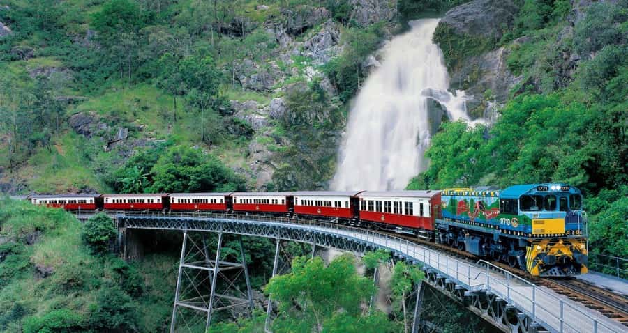 From Port Douglas: Hartley's Crocodile Park, Skyrail & Train - Skyrail Rainforest Cableway Over World Heritage Rainforest