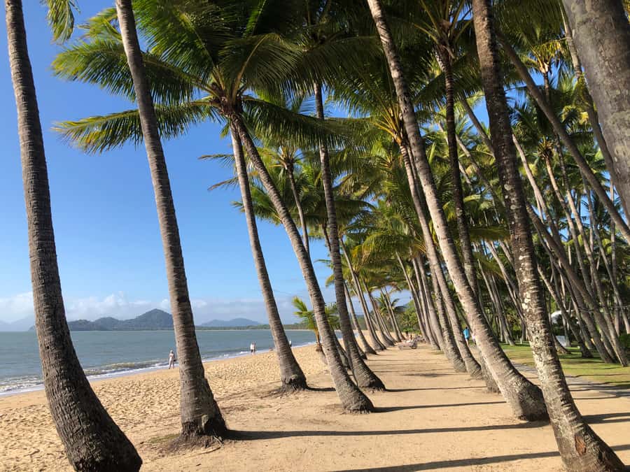 From Port Douglas: Kuranda via Scenic Rail or Skyrail Option - Kuranda Village time: markets, crafts, and how to spend your two hours