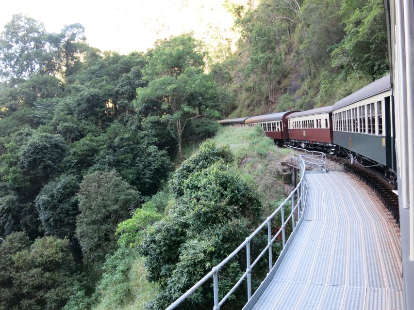 From Port Douglas: Kuranda via Scenic Rail or Skyrail Option - Skyrail Rainforest Cableway: a high-level view that feels like a reset