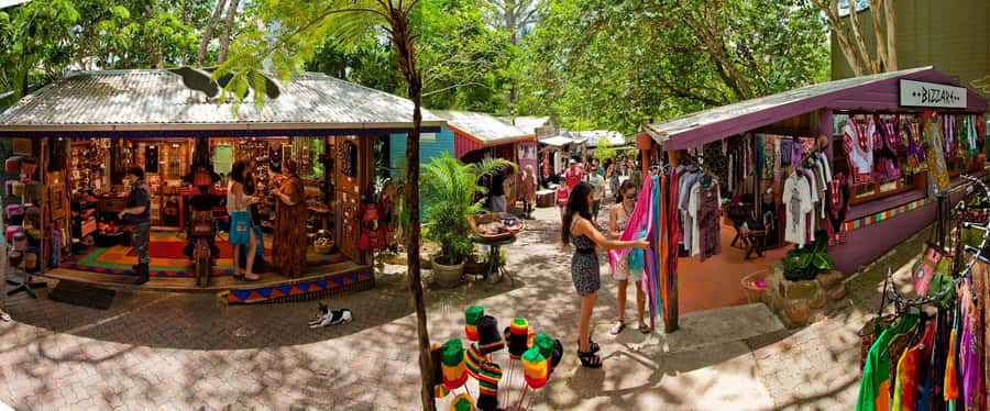 From Port Douglas: Kuranda via Scenic Rail or Skyrail Option - Kuranda Scenic Railway: the 15 tunnels and that wow factor