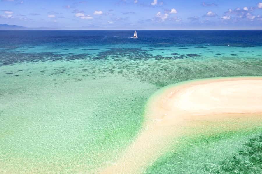 From Port Douglas: Outer Reef Cruise by Luxury Catamaran - Key things I’d circle before you book