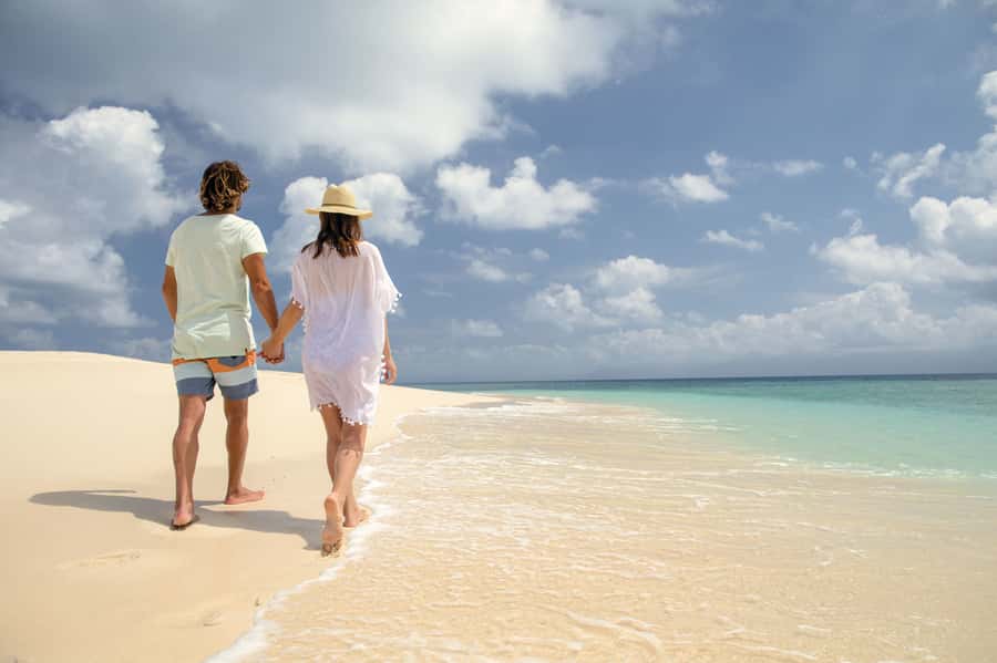 From Port Douglas: Outer Reef Cruise by Luxury Catamaran - Second reef site plus glass-bottom viewing, then more snorkeling
