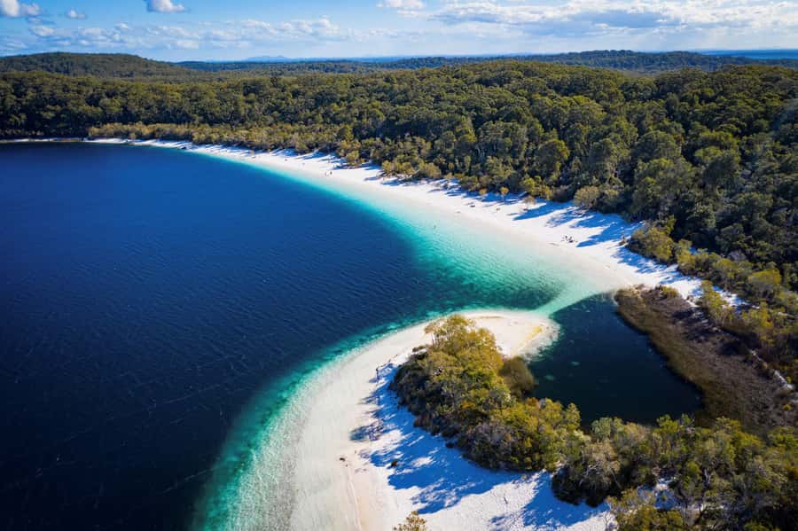 From Rainbow Beach: K'gari Fraser Island Full-Day Coach Tour - Key things I’d circle before you book