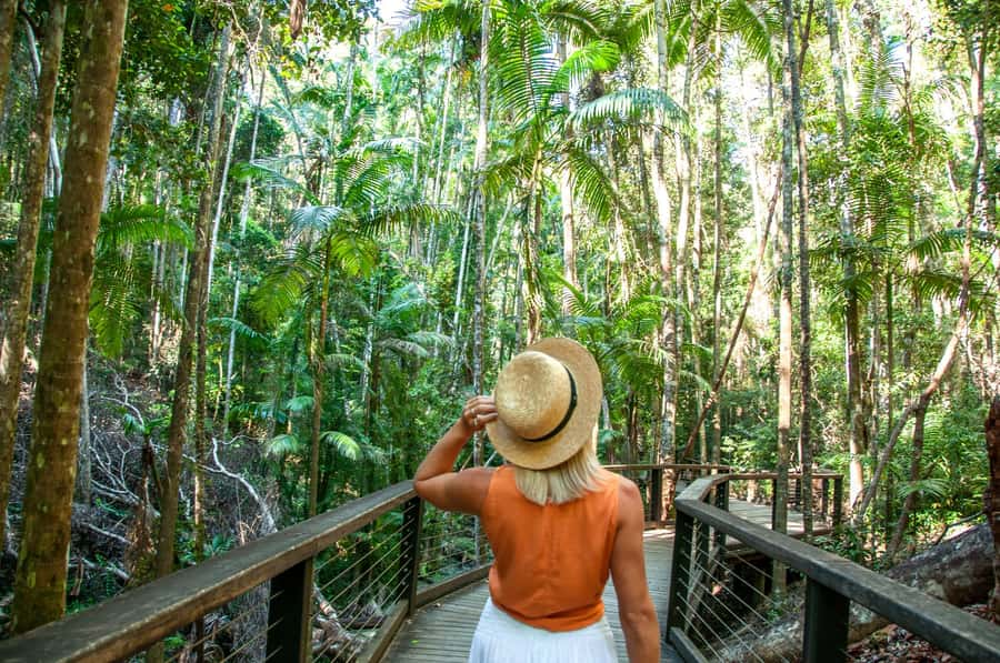 From Rainbow Beach: K'gari Fraser Island Full-Day Coach Tour - Lake McKenzie: how to time your swim and avoid feeling rushed