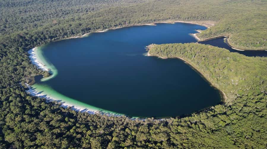 From Rainbow Beach: K'gari (Fraser Island) Full-Day Tour - SS Maheno shipwreck: history you can actually see