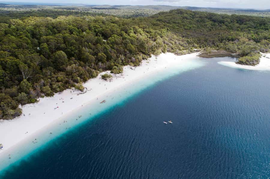 From Rainbow Beach: K'gari, Fraser Island Two-Day Coach Tour - Day One: Rainbow Beach start, barge crossing, and first island sights