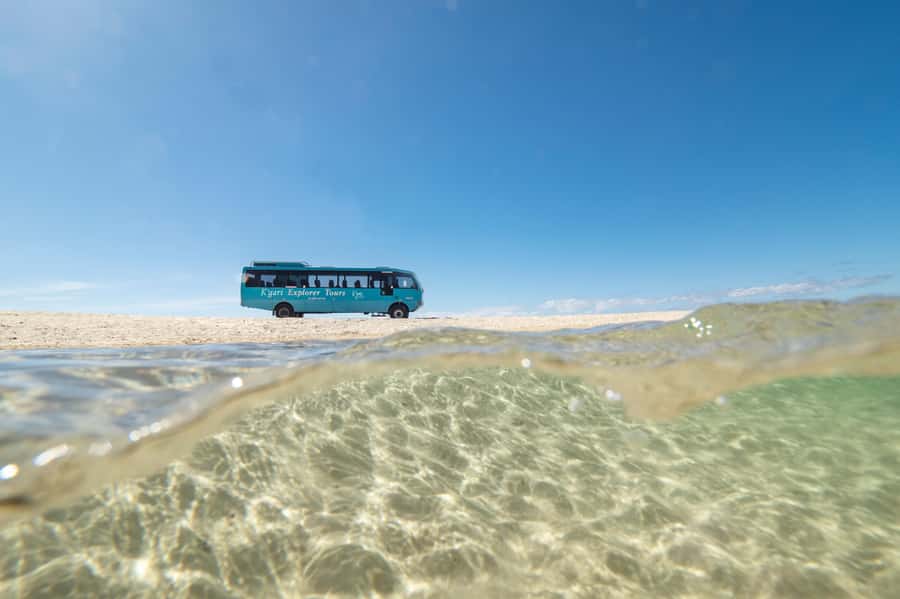 From Rainbow Beach: K'gari, Fraser Island Two-Day Coach Tour - Eli Creek floats and the watercraft rhythm of Kgari