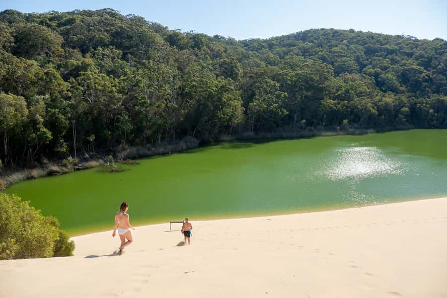From Rainbow Beach: K'gari, Fraser Island Two-Day Coach Tour - Maheno Shipwreck and colored sands: where history meets geology