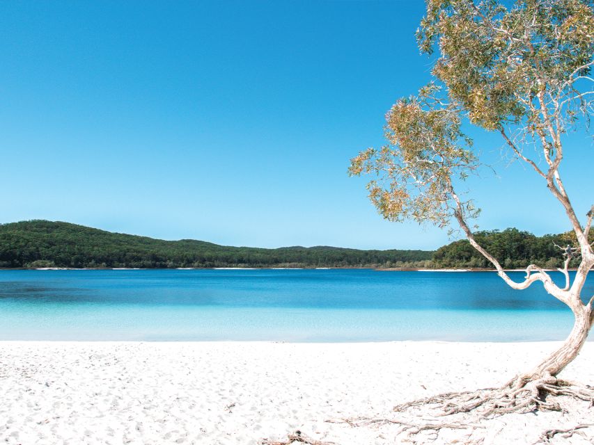From Rainbow Beach: K'gari, Fraser Island Two-Day Coach Tour - Champagne Pools and the natural ocean-jacuzzi effect
