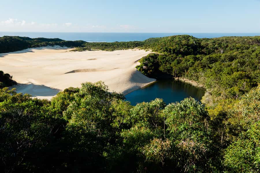 From Rainbow Beach: K'gari, Fraser Island Two-Day Coach Tour - Lake McKenzie: the classic swim stop that anchors the trip
