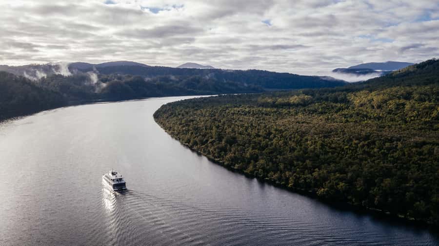 From Strahan: Evening Dinner Cruise on the Gordon River - Wildlife expectations: scenic cruising can still be quiet and slow