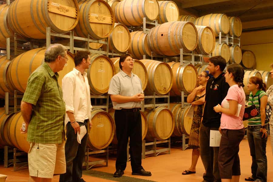 From Sydney: All Inclusive Boutique Hunter Valley Wine Tour - Saddlers Creek and Friends: What Makes These Family Cellar Doors Different