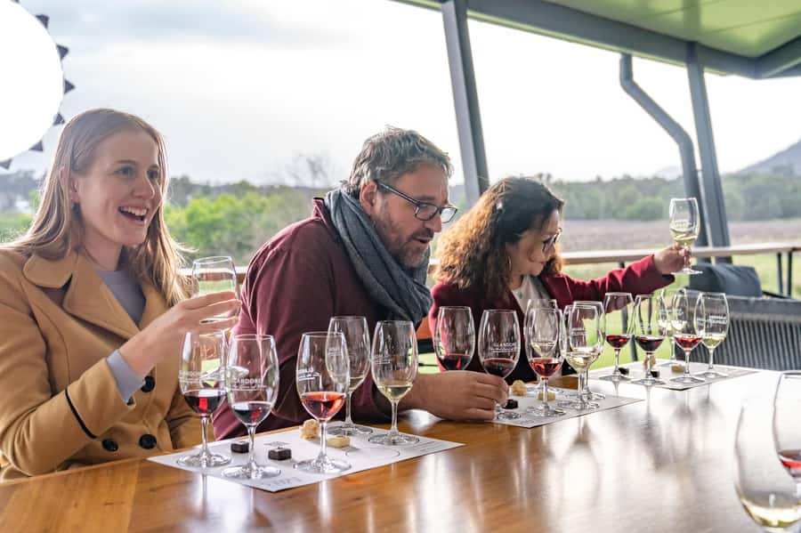 From Sydney: All Inclusive Boutique Hunter Valley Wine Tour - Price and Value: Why $166 Can Make Sense for a Full-Day Wine Day