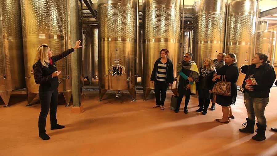 From Sydney: Award-Winning Hunter Valley Wine & Cheese Tour - Key highlights worth planning around
