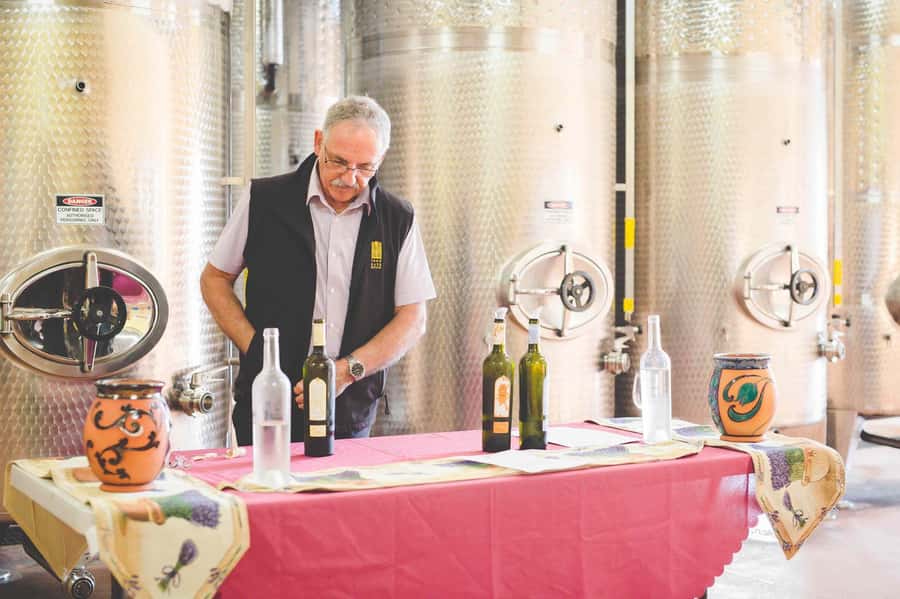 From Sydney: Award-Winning Hunter Valley Wine & Cheese Tour - Price and what $166 covers (and why it adds up)
