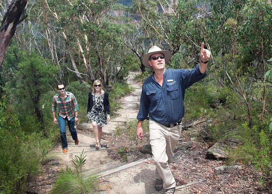 From Sydney: Blue Mountains Bushwalks & Featherdale Tour - Wentworth Falls bushwalk: short, guided, and real enough to feel satisfying