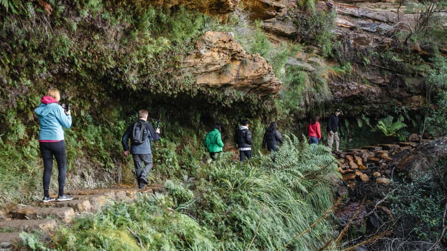 From Sydney: Blue Mountains Bushwalks & Featherdale Tour - What to bring, what to skip, and how to walk comfortably