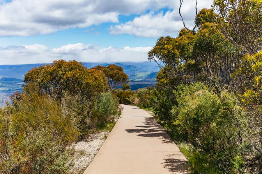 From Sydney: Blue Mountains Full-Day Trip - Parramatta River ferry to Circular Quay: the calming payoff