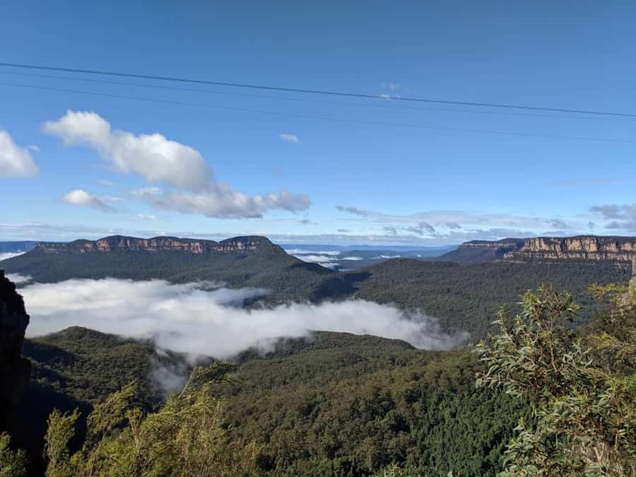 From Sydney: Blue Mountains Private Tour with Wildlife Park - The van ride from Sydney, and how to use that time well
