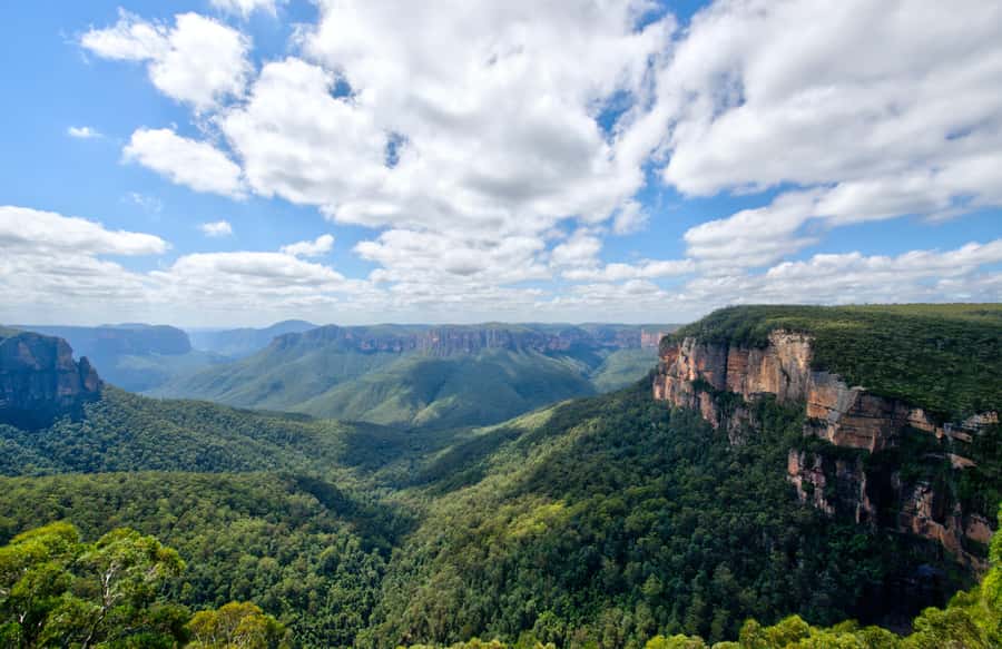 From Sydney: Blue Mountains, Sydney Zoo & Walking Tour - Leura break: lunch and village browsing with a time limit