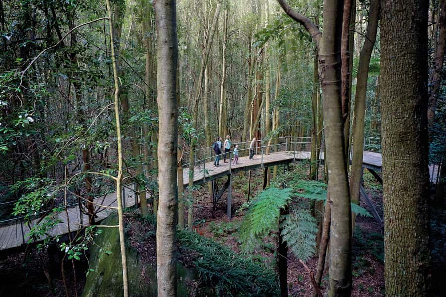From Sydney: Blue Mountains, Sydney Zoo & Walking Tour - Katoomba Falls: walk time, viewpoint hunting, and self-paced pacing