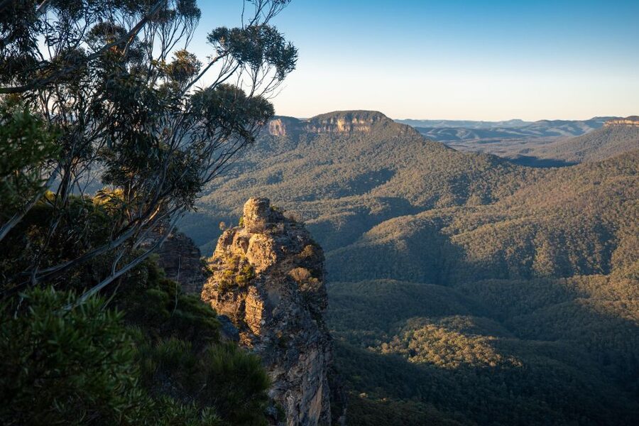 From Sydney: Blue Mountains, Sydney Zoo & Walking Tour - Scenic World: boardwalks, rainforest feel, and optional rides