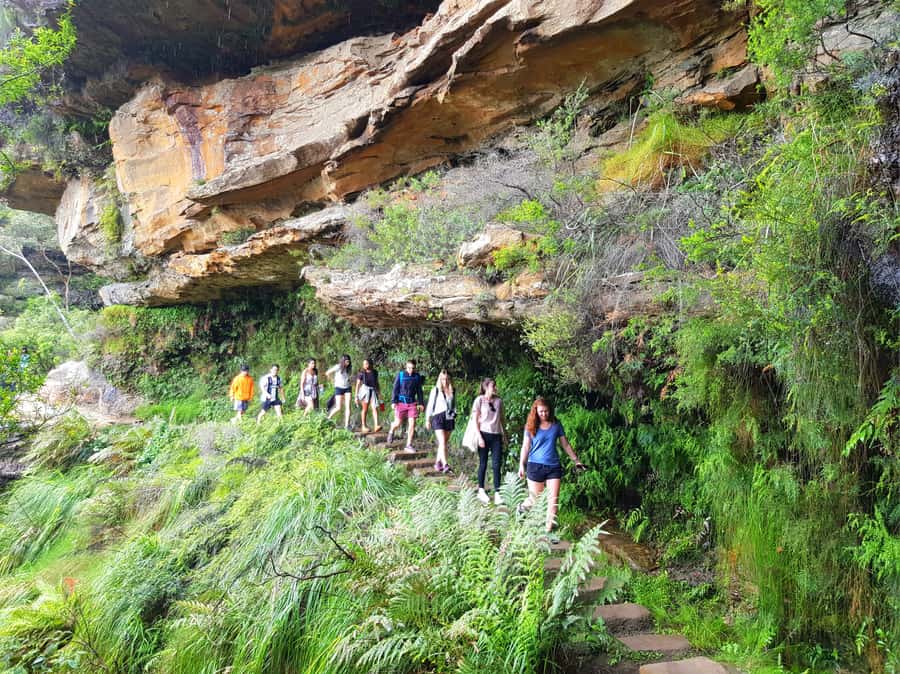 From Sydney: Blue Mountains Tour with Waterfall Walk & Lunch - Key highlights worth planning around