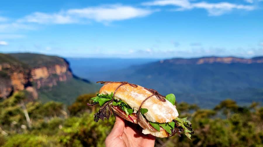 From Sydney: Blue Mountains Tour with Waterfall Walk & Lunch - Should you book this Wentworth Falls and Three Sisters day trip?