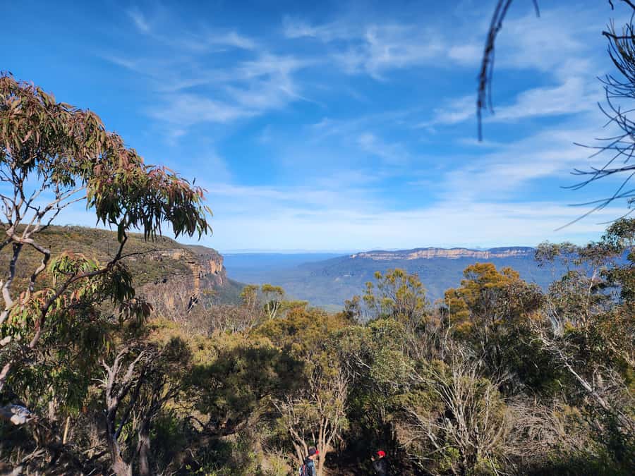 From Sydney: Blue Mountains Tour with Waterfall Walk & Lunch - From George Street to the Blue Mountains, the day starts efficiently