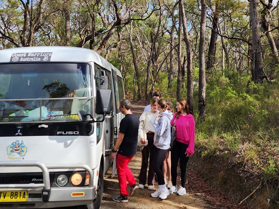 From Sydney: Blue Mountains Tour with Waterfall Walk & Lunch - Price and value: is $85 a good deal for a full day out?