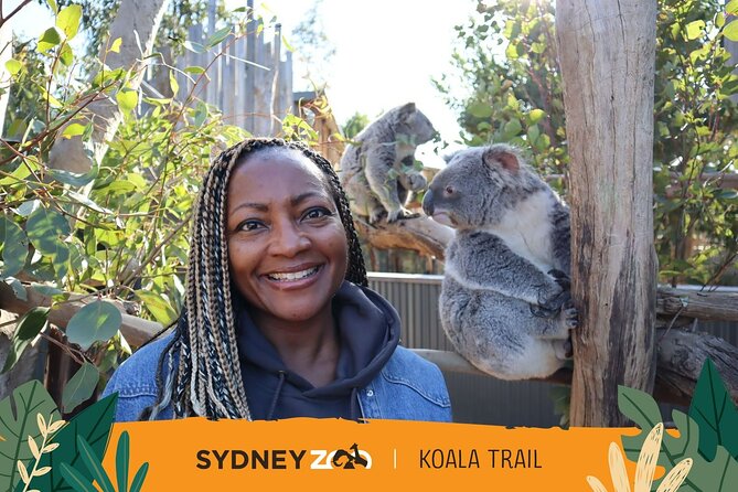 From Sydney: Blue Mountains with Zoo, Koala Photo & Scenic World - Echo Point and the Three Sisters: your main Big Photo Moment