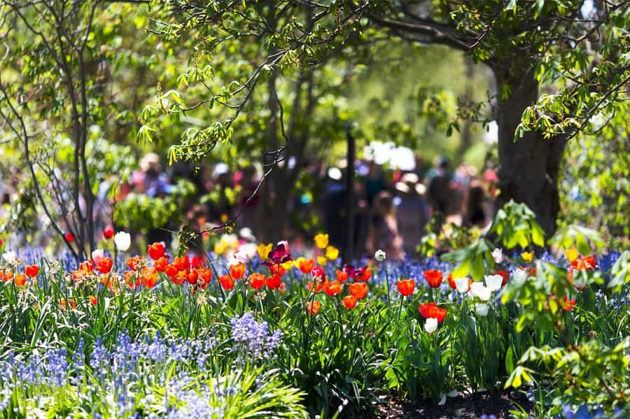 From Sydney: Canberra City Highlights and Floriade Day Tour - The Australian War Memorial: reflection that deserves a slower pace