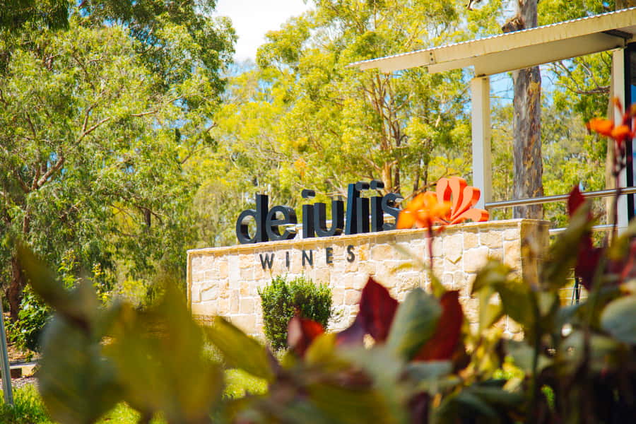 From Sydney: Full-Day Hunter Valley Tour w/ Tastings & Lunch - Small-group comfort and the guide personality factor