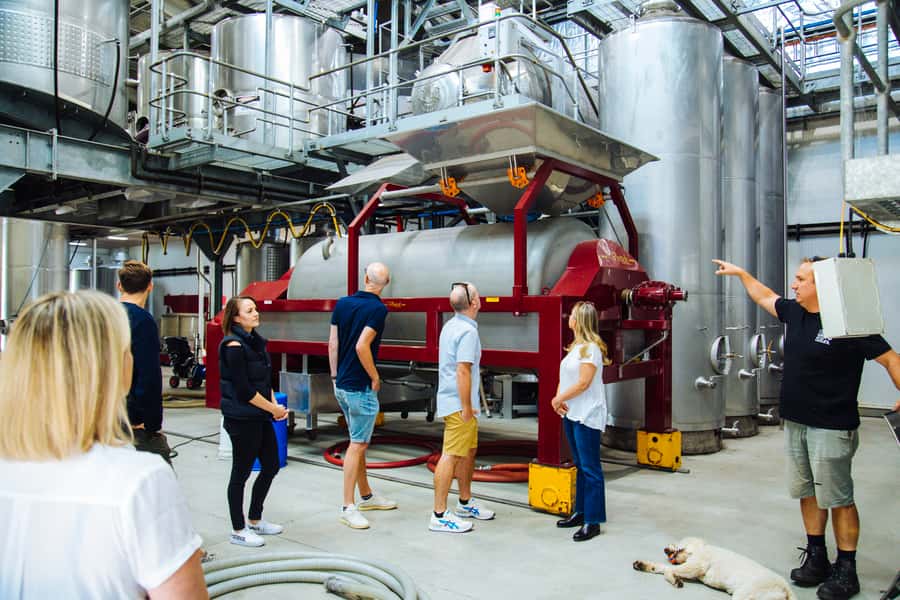 From Sydney: Full-Day Hunter Valley Tour w/ Tastings & Lunch - Pairings that keep the day interesting: cheese and chocolate
