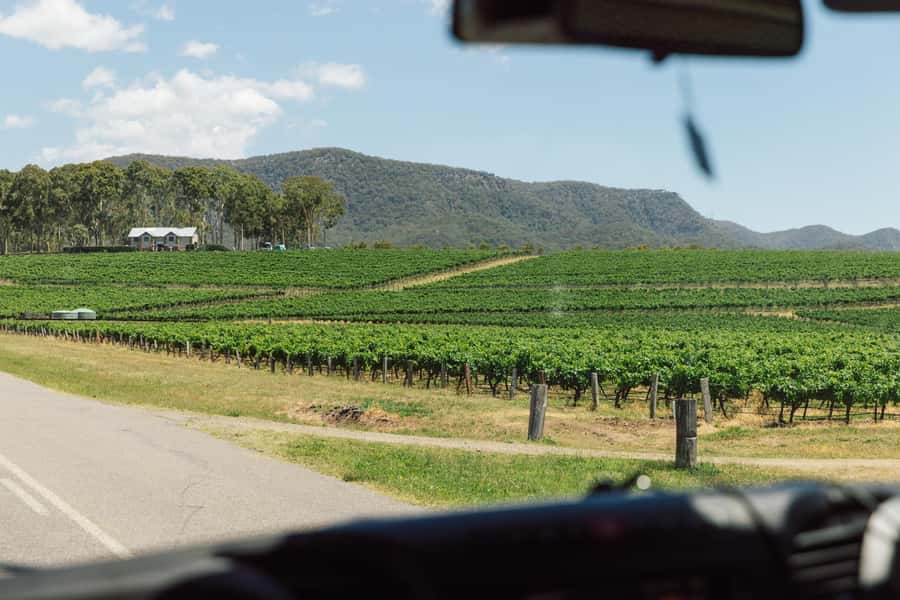 From Sydney: Full-Day Hunter Valley Wine Tour & Lunch - The Winery Behind-the-Scenes Tour: Where Learning Actually Happens