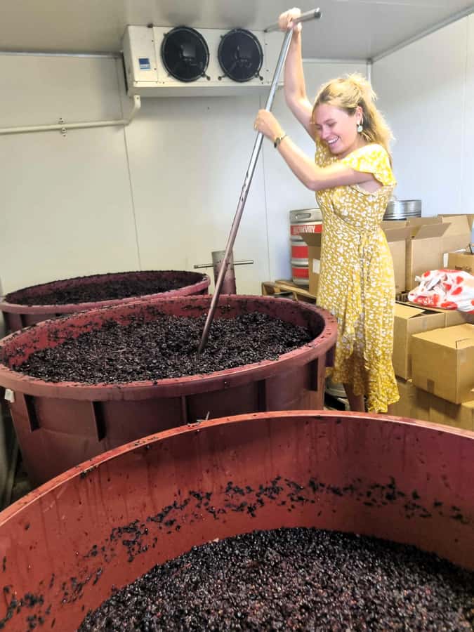 From Sydney: Hunter Valley Beer & Wine Group Tour - Key Highlights You Should Know