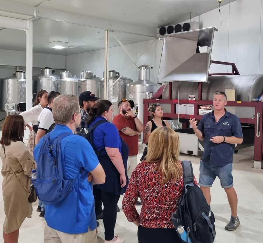 From Sydney: Hunter Valley Beer & Wine Group Tour - Your First Stop: Vineyard or Winery Production Tour, Then Wine Tasting