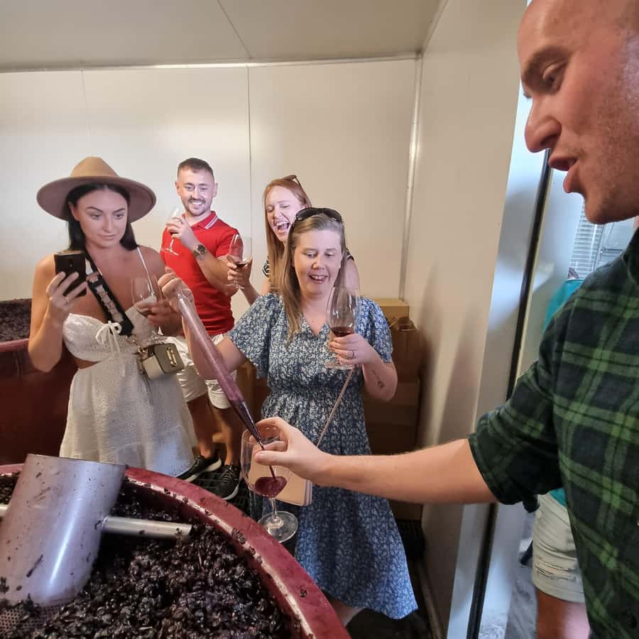 From Sydney: Hunter Valley Wine, Gin & Food Tastings Tour - The Real Secret Ingredient: The Guide