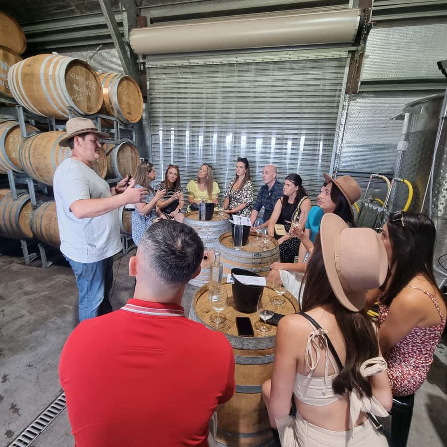 From Sydney: Hunter Valley Wine, Gin & Food Tastings Tour - Meeting at the Obelisk of Distances, Then Straight Into the Valley