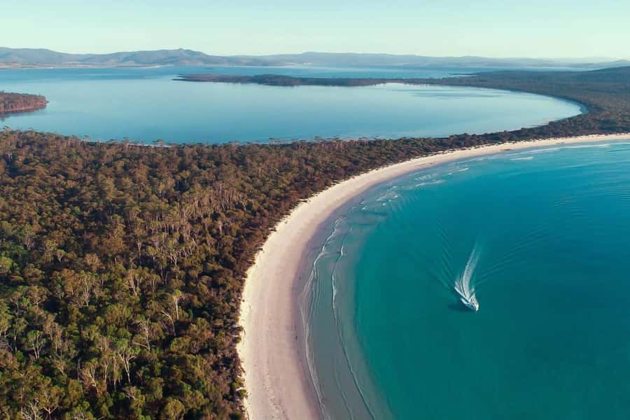 From Triabunna: Maria Island Cruise & Guided Walk with Lunch - Triabunna morning: check in, get comfortable, then head for Maria Island