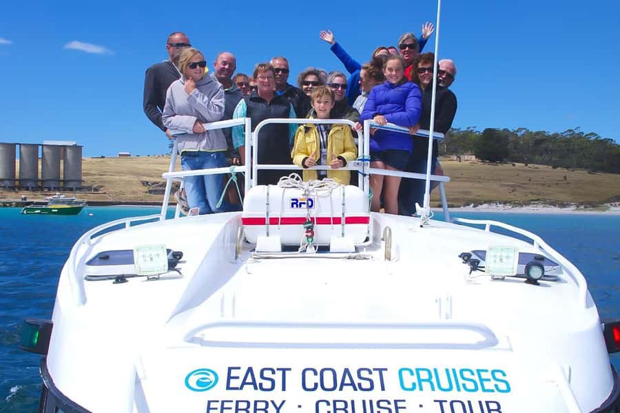 From Triabunna: Maria Island Cruise & Guided Walk with Lunch - Wildlife viewing around Maria Island: wombats, geese, seals, and dolphins