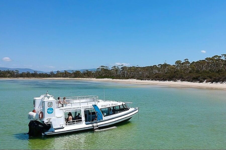 From Triabunna: Maria Island Cruise & Guided Walk with Lunch - Ile Des Phoques and the Island of Seals: where the ocean wildlife story gets louder