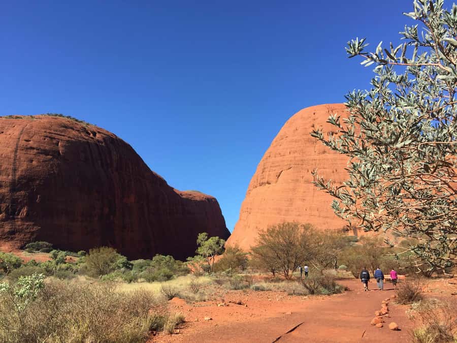From Yulara: 3-Hour Small Group Kata Tjuta Afternoon Tour - Pickup at Ayers Rock Resort and how to avoid the common timing headaches
