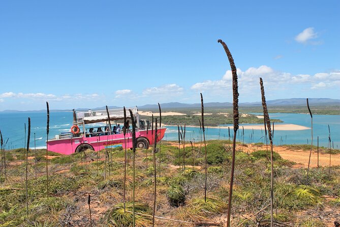 Full-Day 1770 Tour by LARC Amphibious Vehicle Including Sandboarding and Bustard Head Lightstation - Town of 1770 focus and why the day keeps changing pace