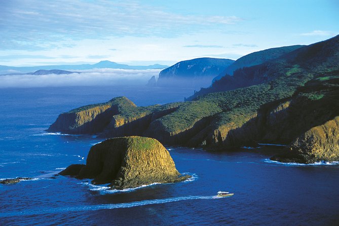 Full-Day Bruny Island Cruises Day Tour from Hobart - Morning tea at Adventure Bay, then straight into the wilderness cruise